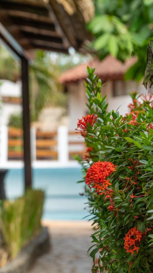 تاماريندو Hotel Luna Llena المظهر الخارجي الصورة